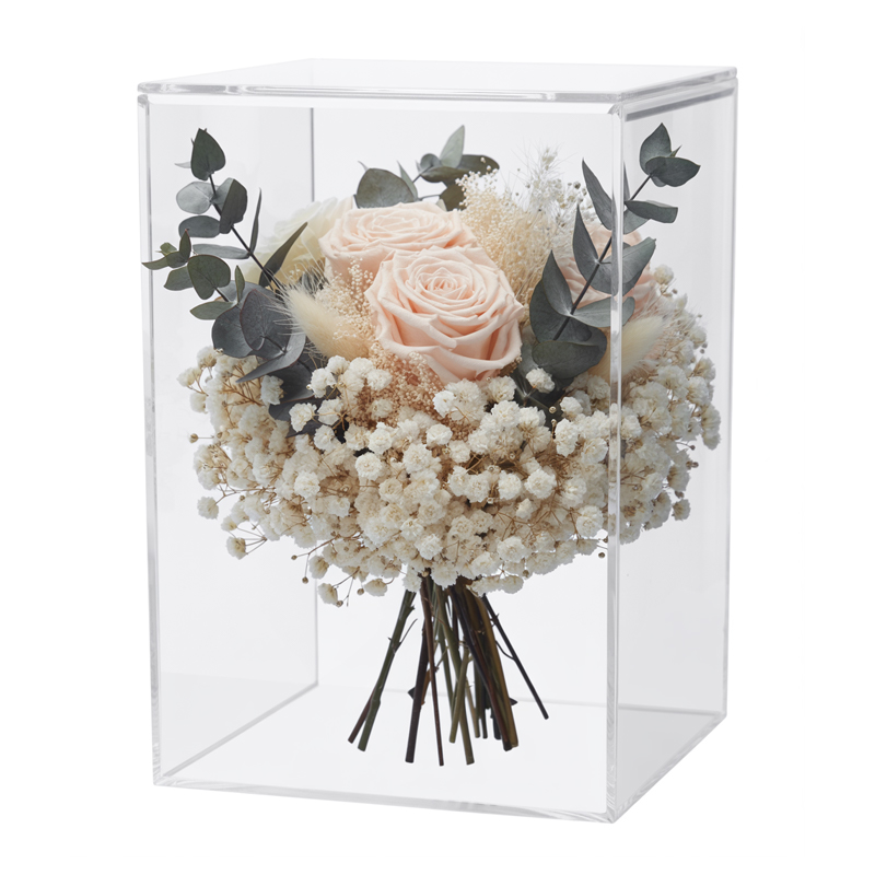 acrylic display boxes1